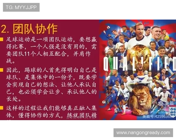 和睦法兰克福俱乐部：追求卓越与和谐的足球精神与发展之路